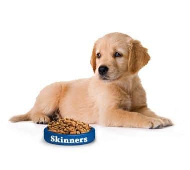 Alimentación Cachorro