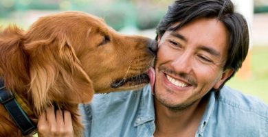 10 beneficios científicos de tener un perro