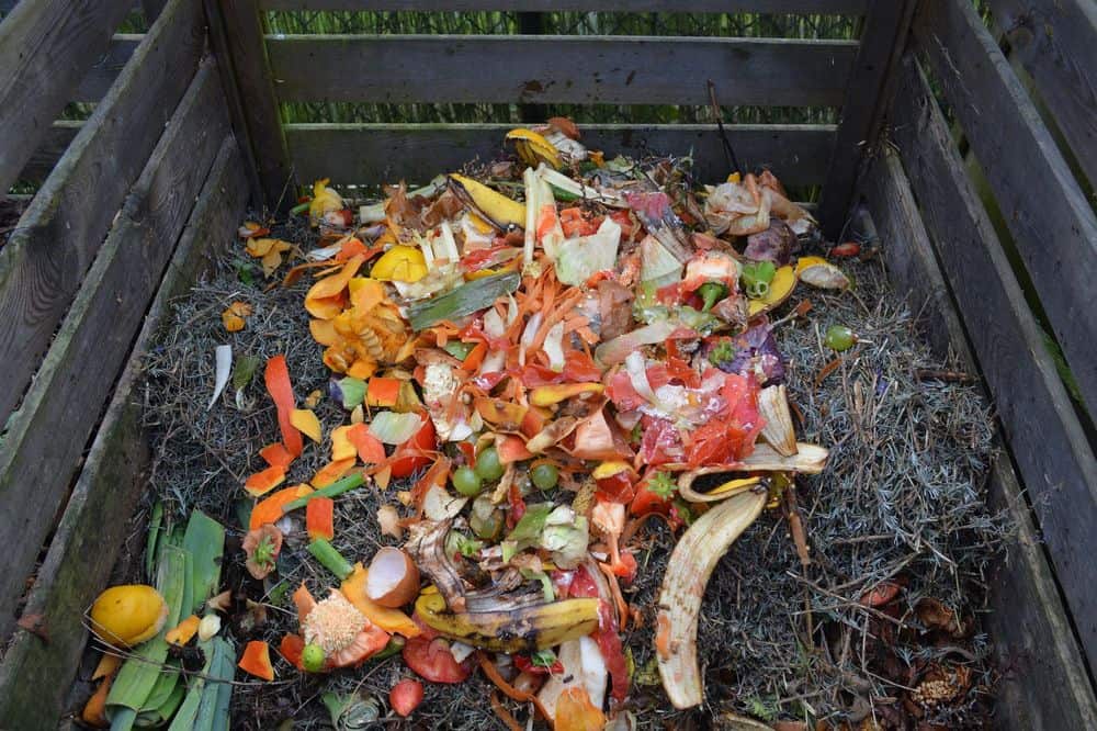 a las serpientes les gustan los montones de compost