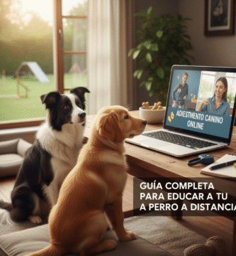Adiestramiento Canino Online guía completa para educar a tu perro a distancia
