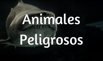Animales Peligrosos