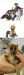 Animales de Madagascar