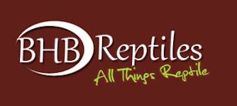 BHB Reptiles
