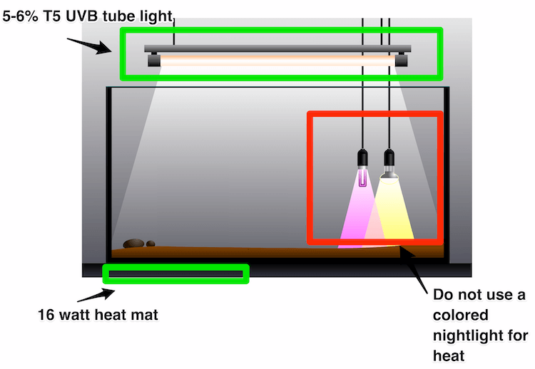 La mejor configuración de iluminación para el geco leopardo