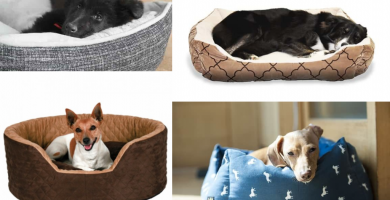 Cama para perro