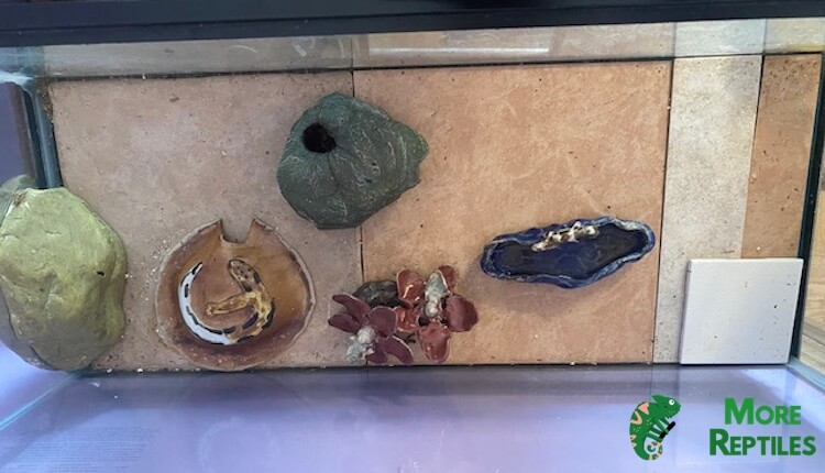 Baldosas de cer&aacute;mica