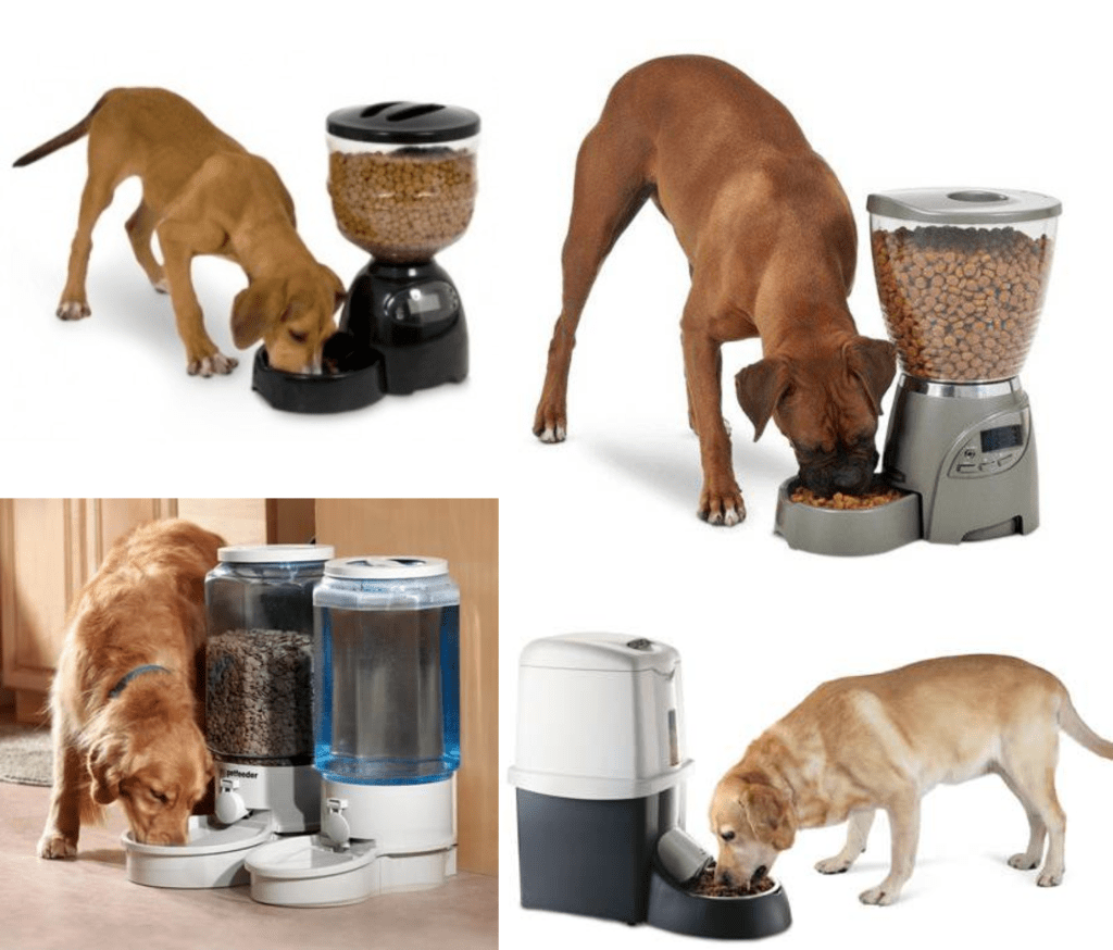 Comederos automáticos para perros