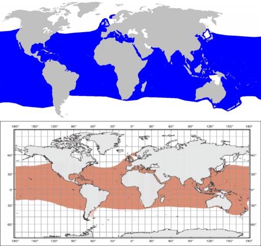 Distribución del tiburón Mako