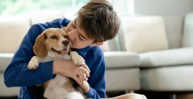 El seguro obligatorio para perros con la nueva Ley de Bienestar Animal
