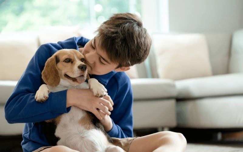 El seguro obligatorio para perros con la nueva Ley de Bienestar Animal