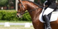 Equipación básica para montar a caballo