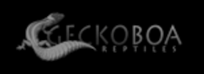 Reptiles Gecko Boa