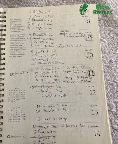 Diario de puesta de huevos