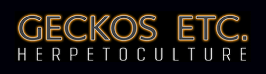Geckos Etc