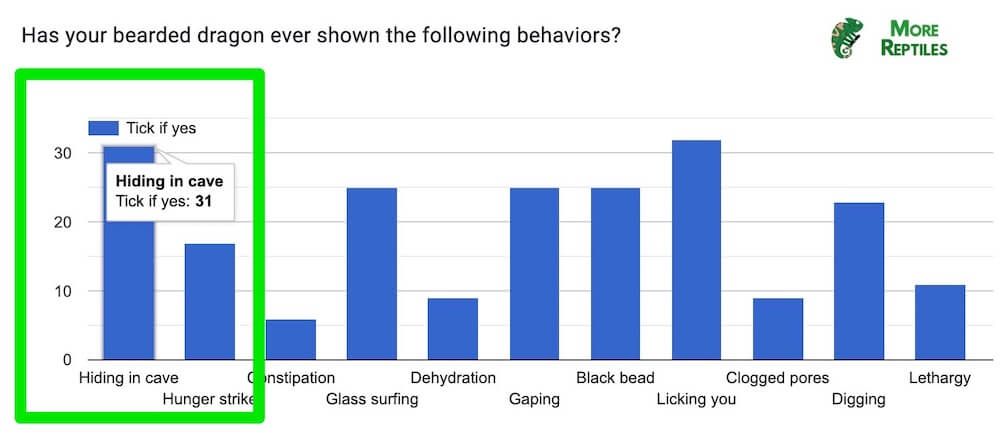 ¿Su dragón barbudo ha mostrado alguna vez los siguientes comportamientos resultados de la encuesta