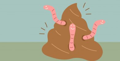 Ilustración de caca de perro con gusanos