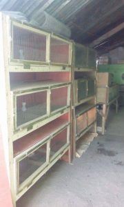 Jaula de cultivo de codornices de bajo costo
