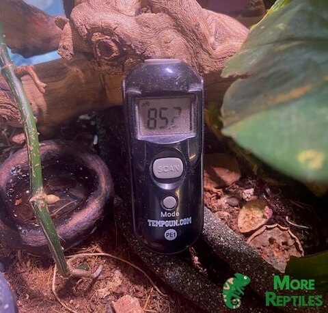 Pistola láser de temperatura