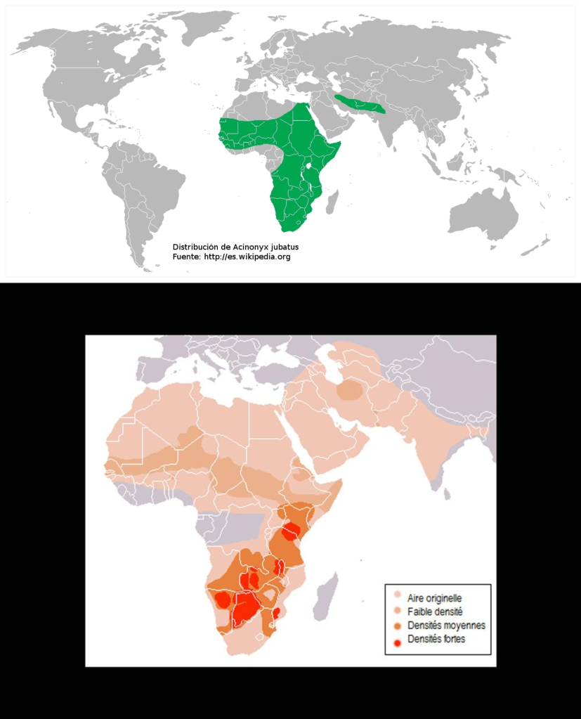 Mapa de distribución del guepardo