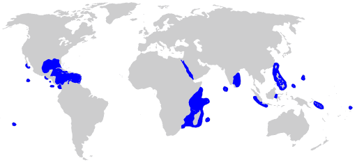 Mapa del hábitat de distribución tiburón de puntas plateadas