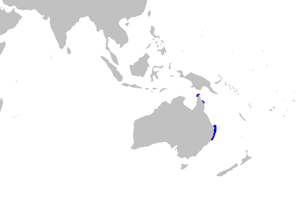 Mapa del área de distribución del Tiburón ciego azulado