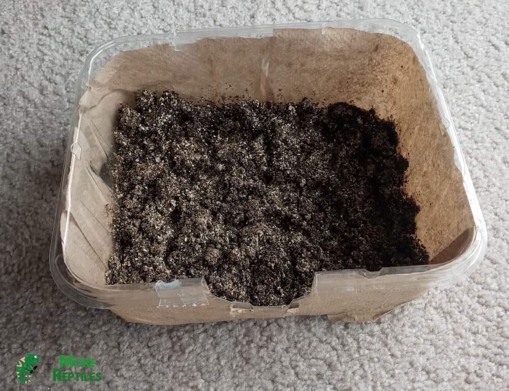 La sencilla caja de excavación de mi geco