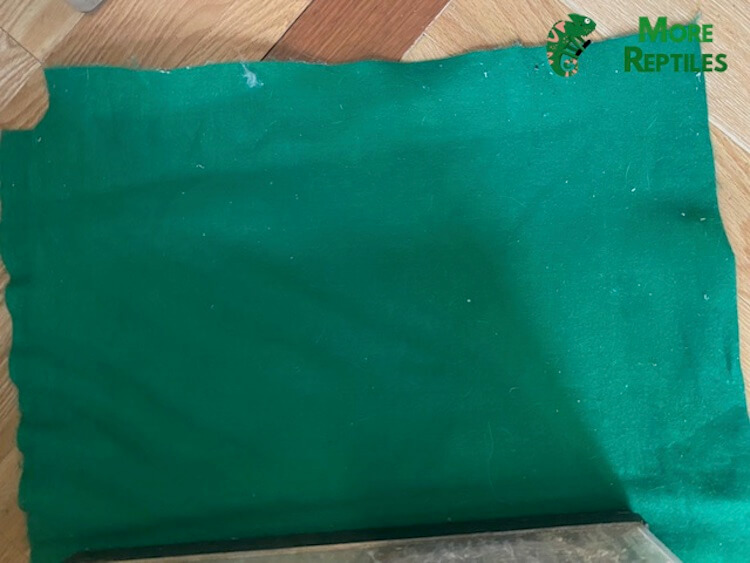 Alfombra vieja para reptiles