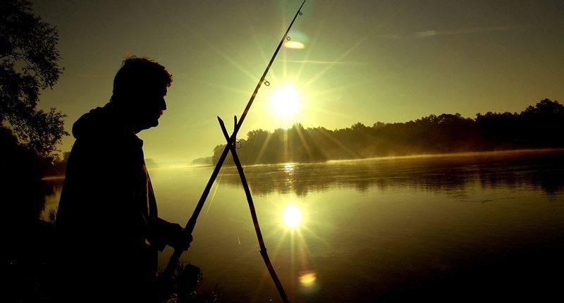 Pescando siluros con caña