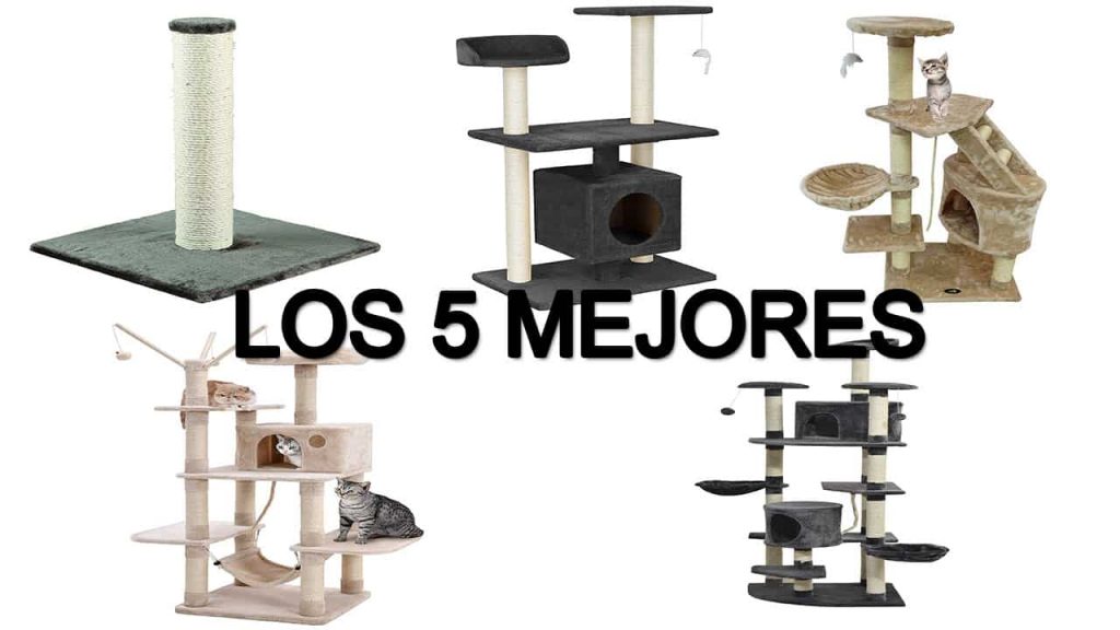 Rascadores para gatos