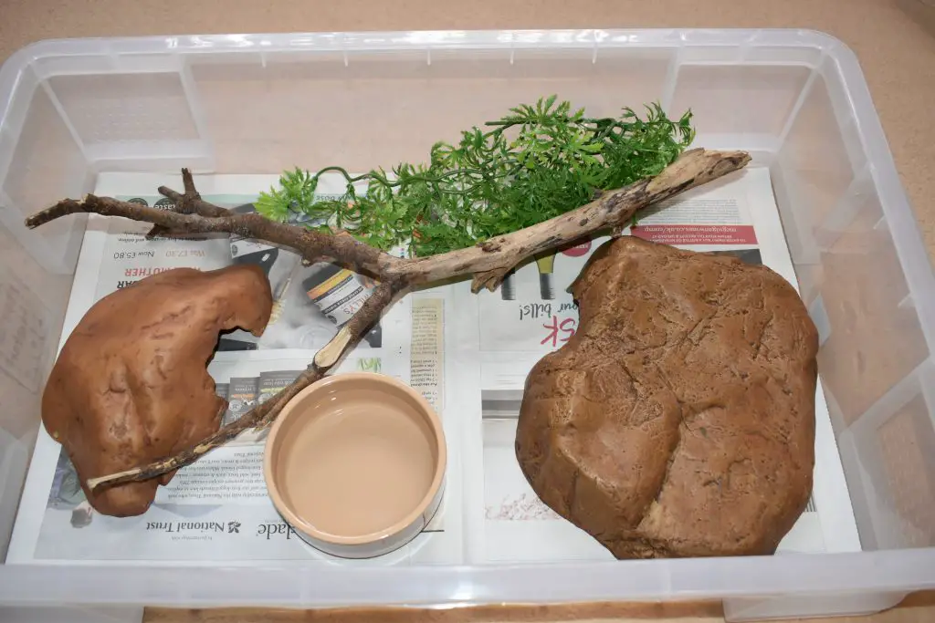 Elegir el recinto adecuado para la pitón bola