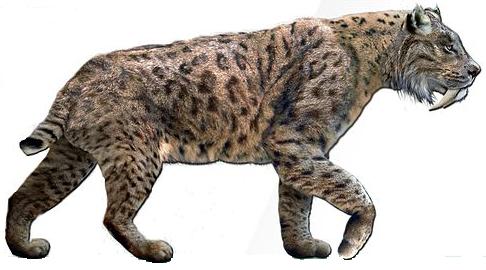 Smilodon fatalis