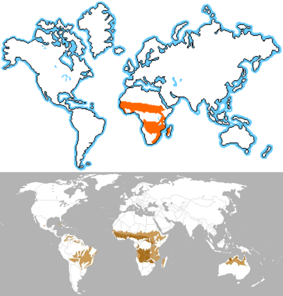 sintético 104 imagen animales de la sabana africana para niños actualizar