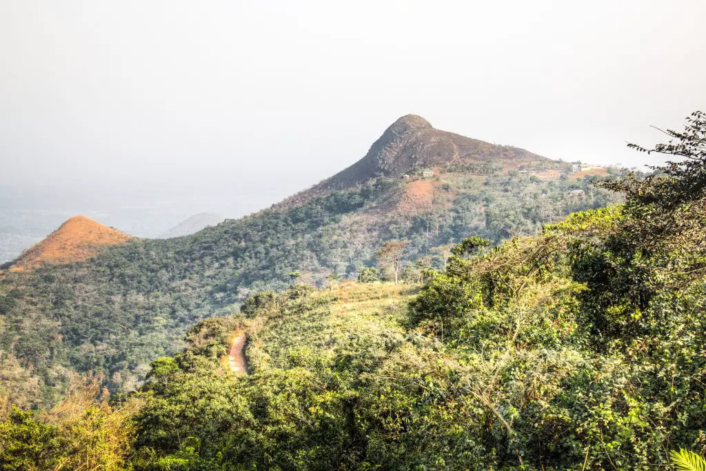hábitat natural de la pitón bola