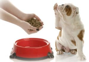 Alimentación Alimentación