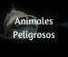 Animales Peligrosos