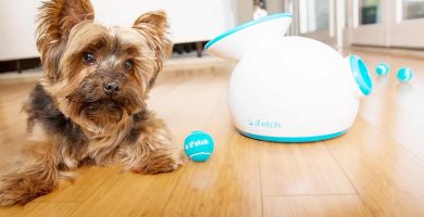complementos para perros