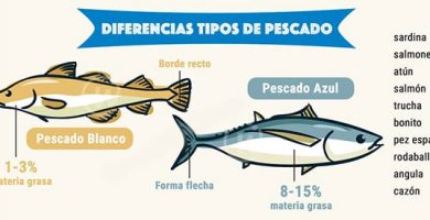 diferencias pescados azules o blancos