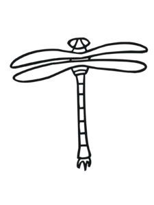 libelulas para pintar colorear e imprimir