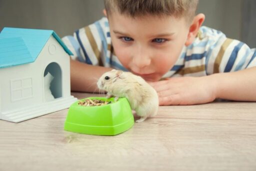Mejores animales para tener como mascota