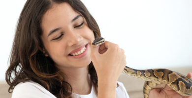 Serpientes como mascotas