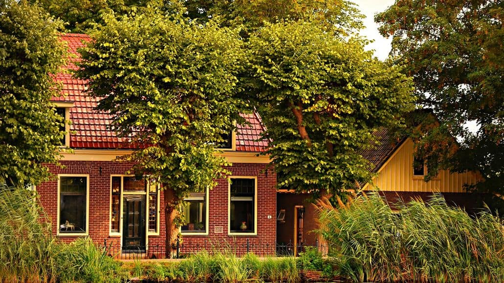 la casa puede convertirse en nido de serpientes