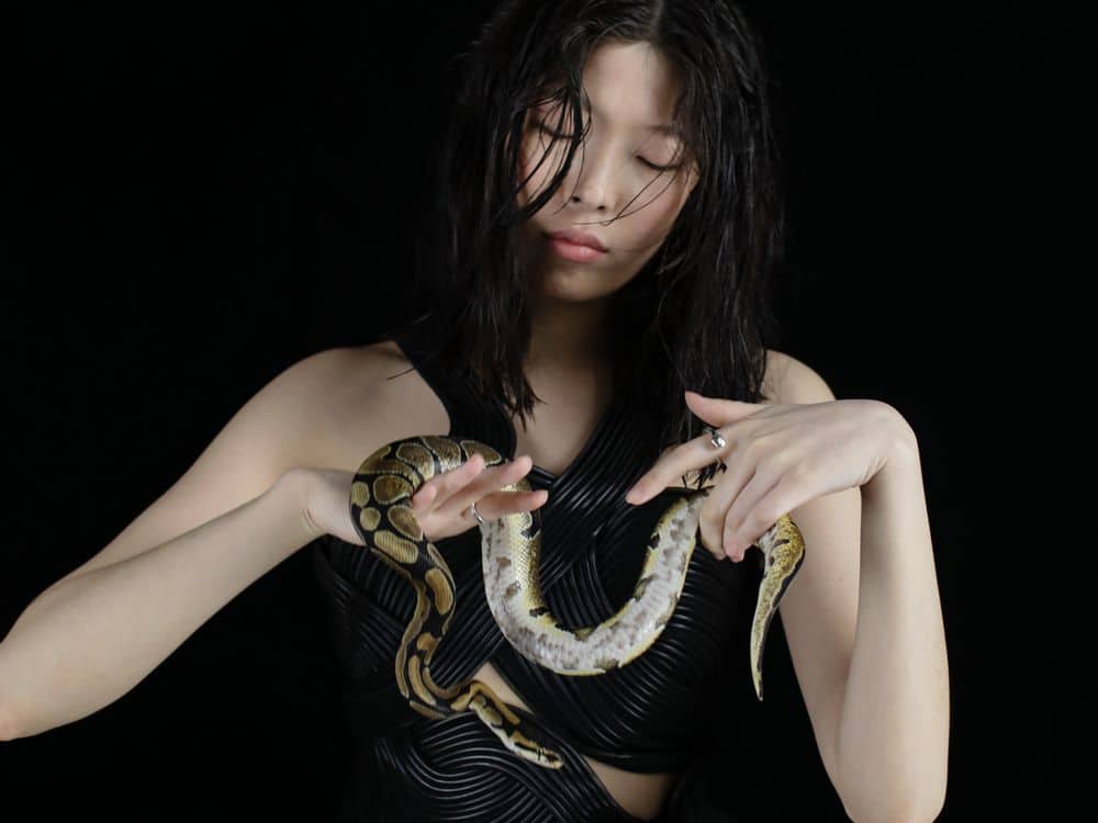 qué significa soñar con serpientes